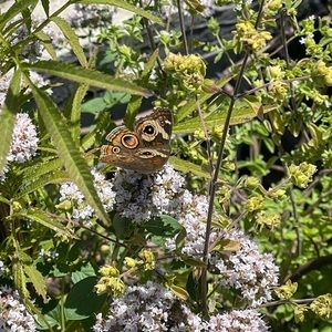 Meet your Posher, Mar